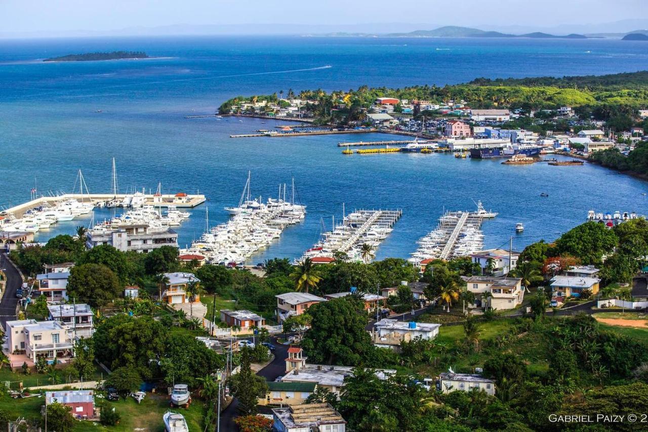 Waterfront Studio At Fajardo, Puerto Rico Екстериор снимка